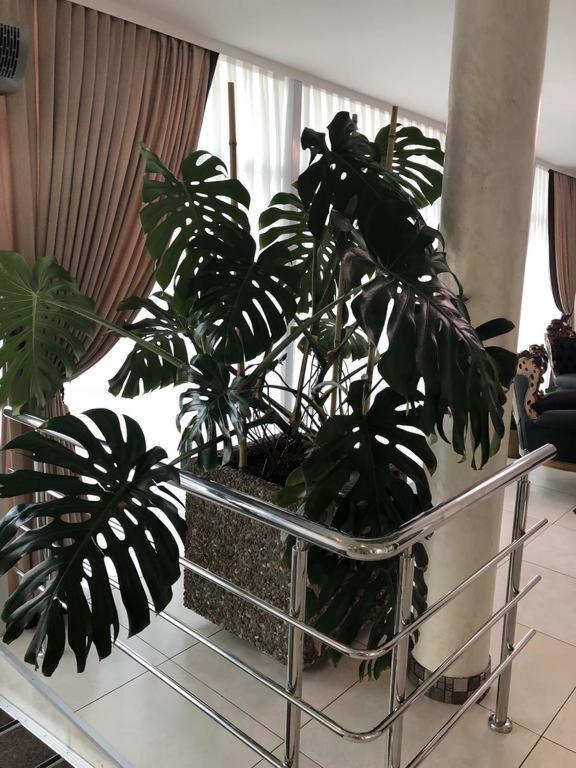 Hotel Перлина Saevka Εξωτερικό φωτογραφία